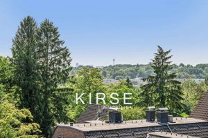 Ausblick auf den Rheinturm